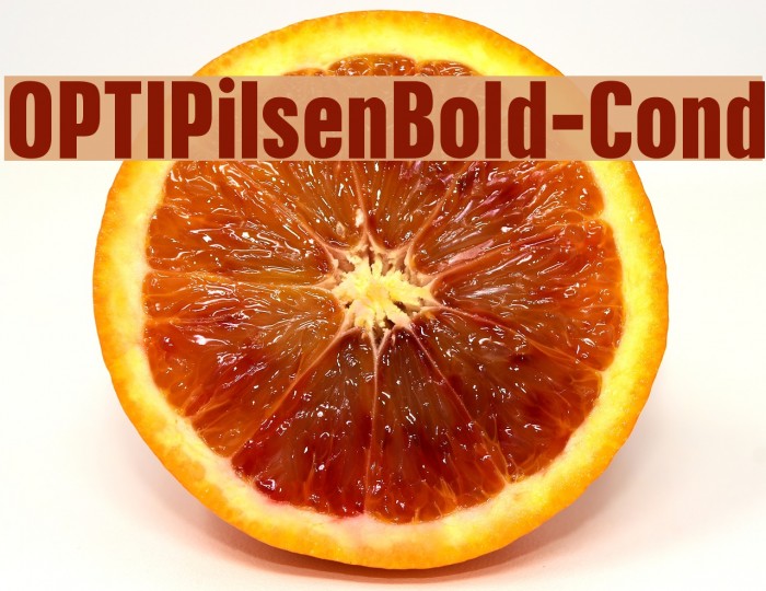 OPTIPilsenBold-Cond Font examples