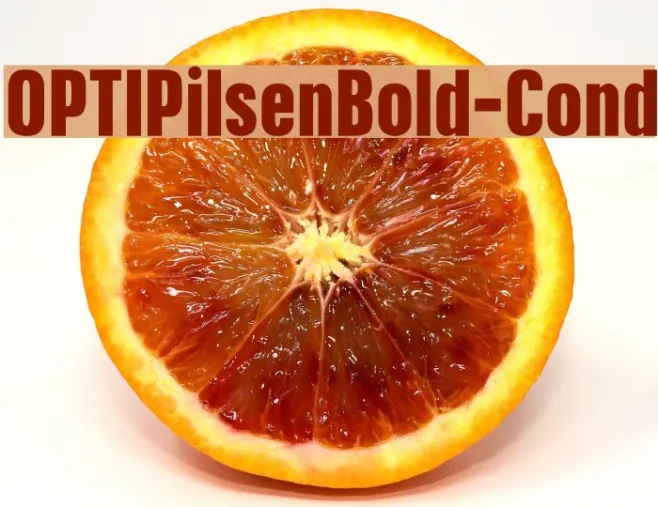 OPTIPilsenBold-Cond Example 3