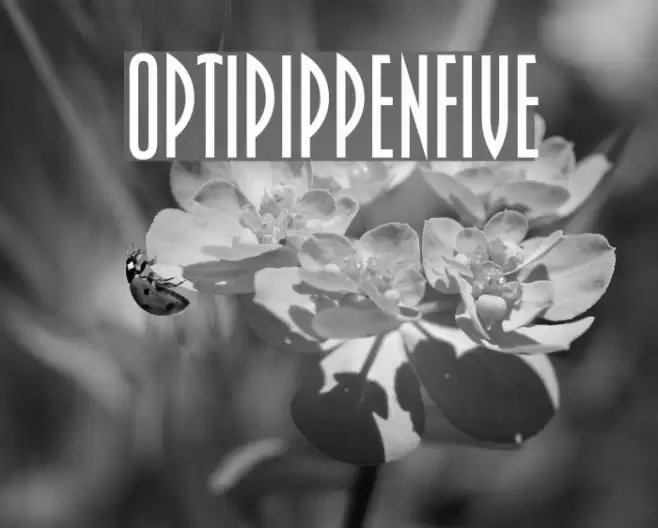 OPTIPippenFive Polices examples