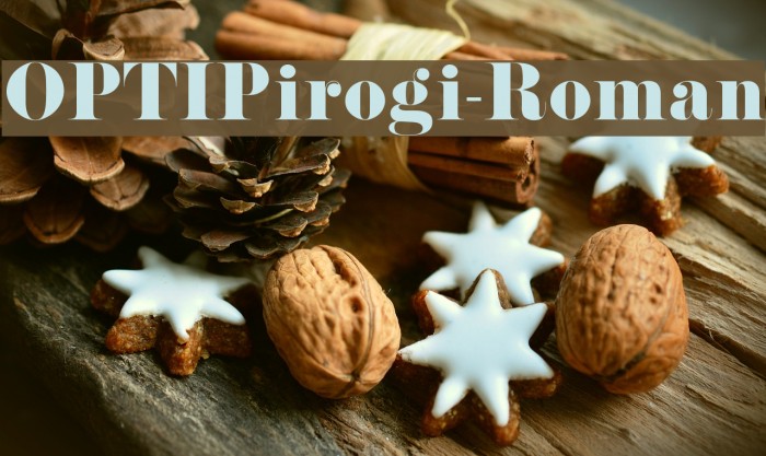 OPTIPirogi-Roman Font examples