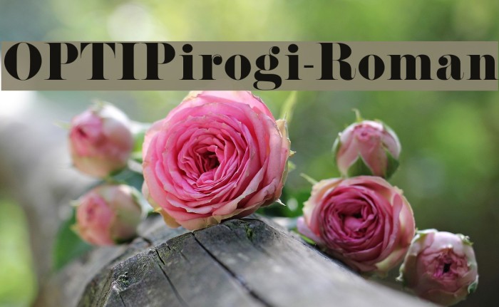 OPTIPirogi-Roman Font examples