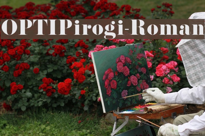 OPTIPirogi-Roman Font examples