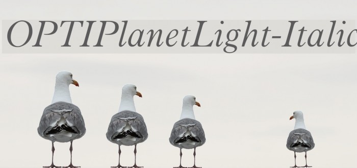 OPTIPlanetLight-Italic Font examples