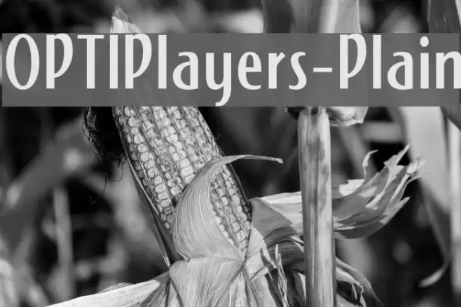 OPTIPlayers-Plain Font examples