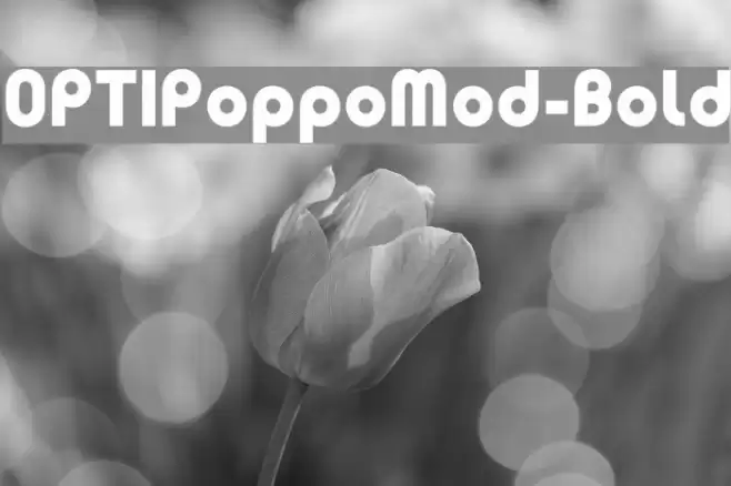 OPTIPoppoMod-Bold Font examples