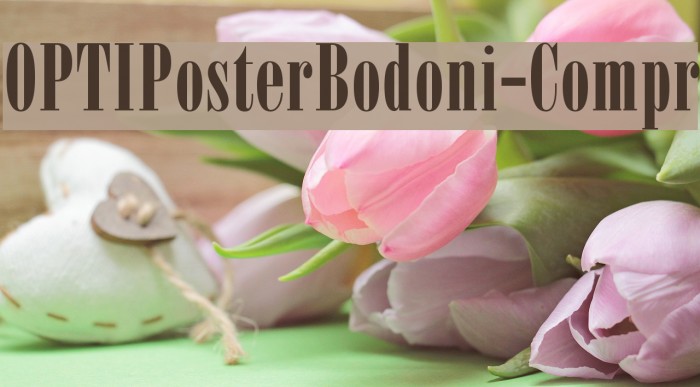 OPTIPosterBodoni-Compr Font examples