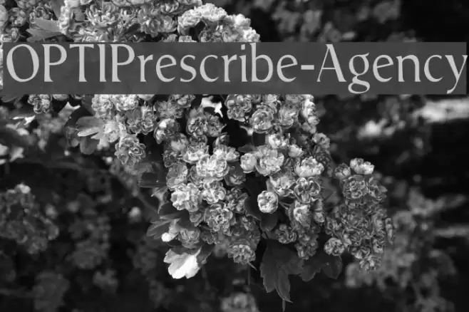 OPTIPrescribe-Agency Font examples