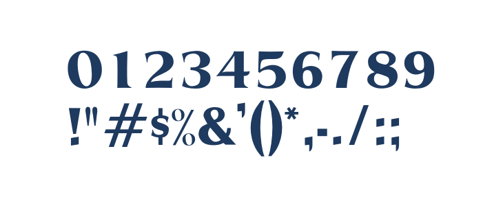 OPTIPrescribeBold-Agency Other Characters