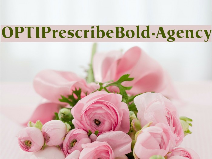 OPTIPrescribeBold-Agency Example 1