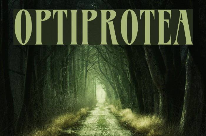 OPTIProtea Example 2