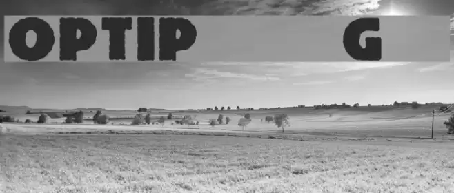 OPTIPublicityGothic Font examples