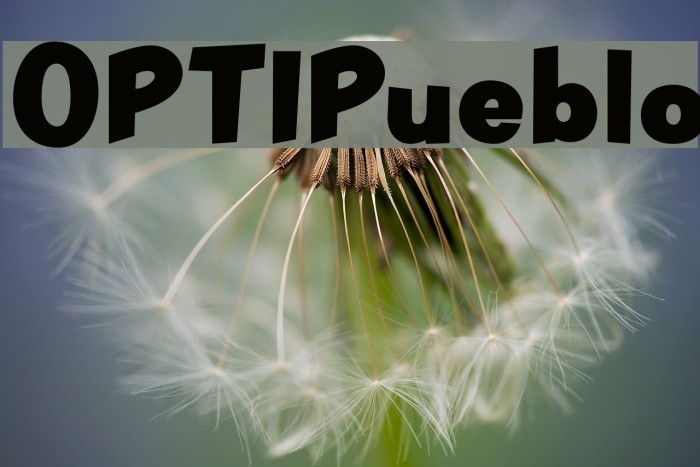 OPTIPueblo Font examples