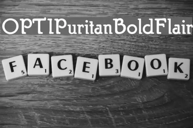 OPTIPuritanBoldFlair Font examples