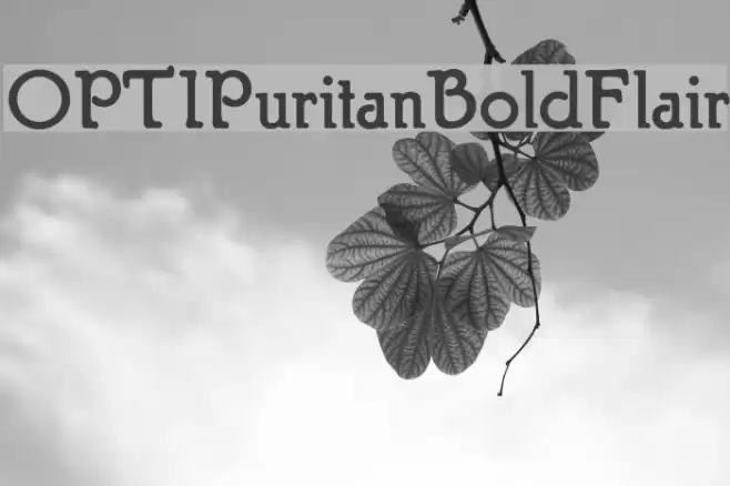 OPTIPuritanBoldFlair Font examples