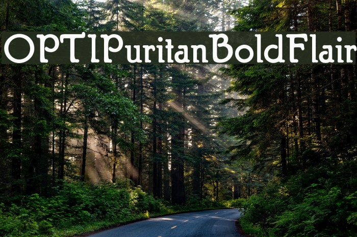 OPTIPuritanBoldFlair फ़ॉन्ट examples
