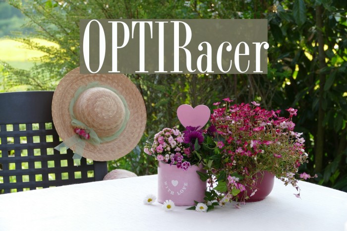 OPTIRacer Example 2