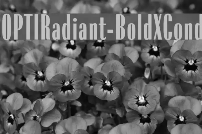 OPTIRadiant-BoldXCond Font examples