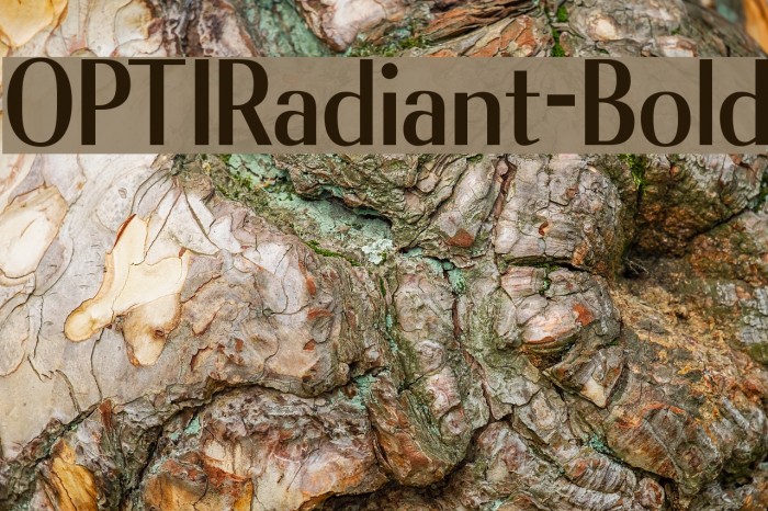 OPTIRadiant-Bold Example 1