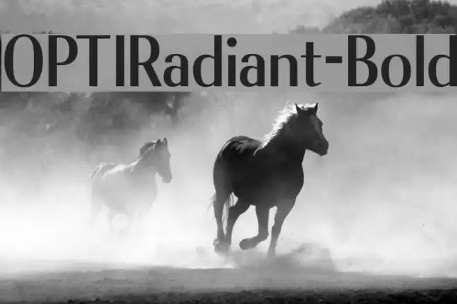 OPTIRadiant-Bold Font examples