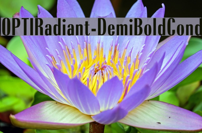 OPTIRadiant-DemiBoldCond Font examples