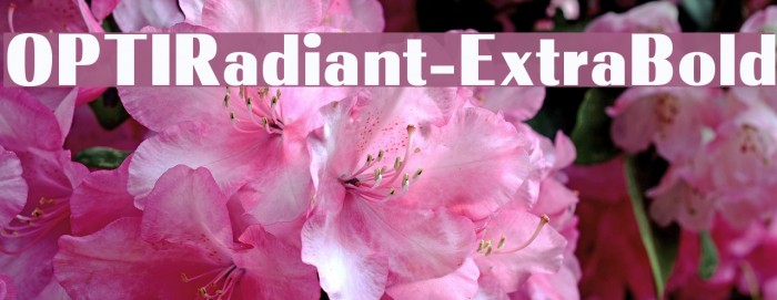 OPTIRadiant-ExtraBold Font examples