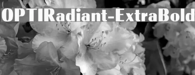 OPTIRadiant-ExtraBold Fuentes examples