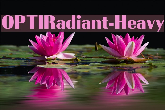 OPTIRadiant-Heavy Fuentes examples
