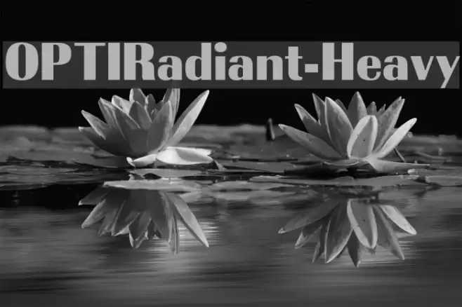 OPTIRadiant-Heavy Font examples