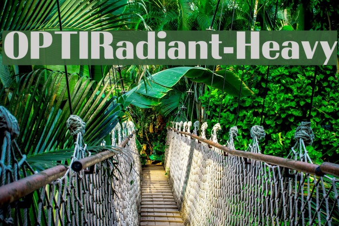 OPTIRadiant-Heavy Fuentes examples