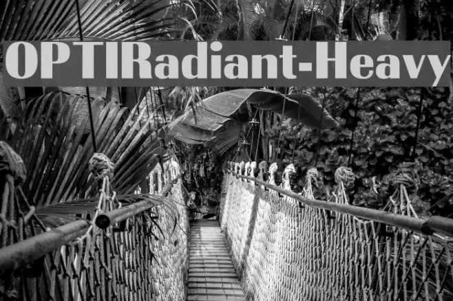 OPTIRadiant-Heavy Font examples