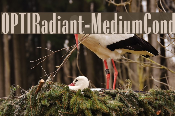 OPTIRadiant-MediumCond Example 2