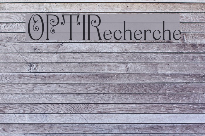 OPTIRecherche Font examples