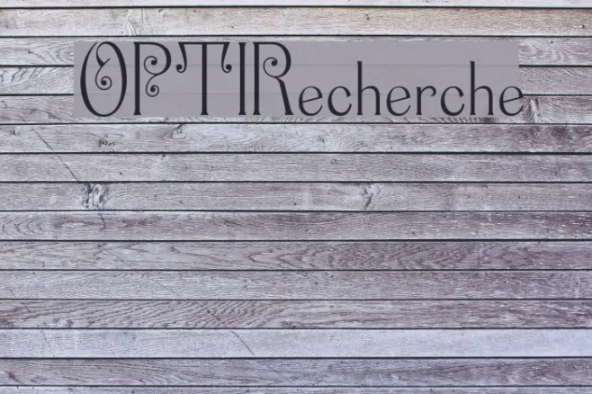 OPTIRecherche Example 2