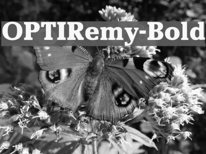 OPTIRemy-Bold Font examples