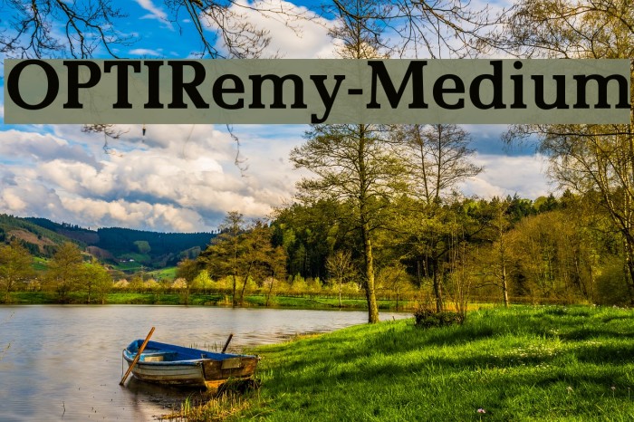 OPTIRemy-Medium Font examples