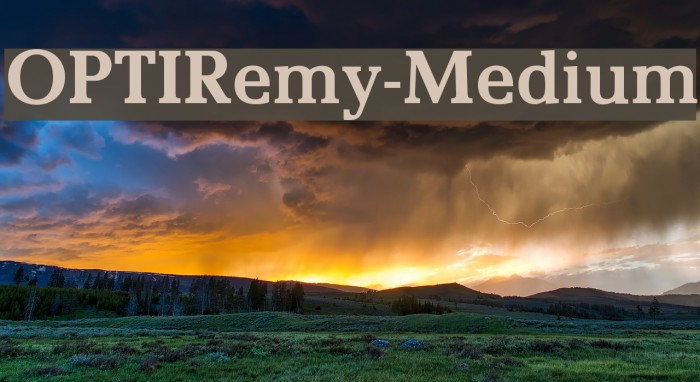 OPTIRemy-Medium Font examples