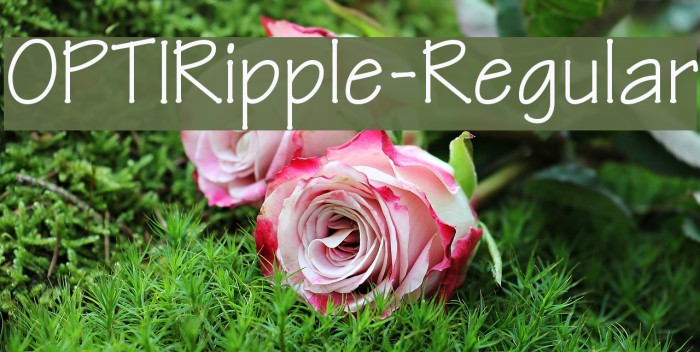 OPTIRipple-Regular Font examples