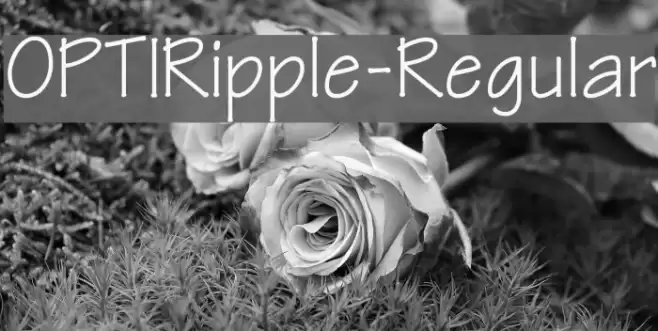 OPTIRipple-Regular Fonte examples