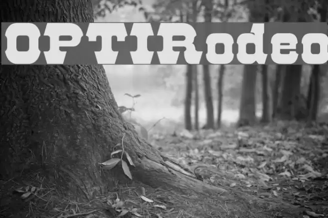 OPTIRodeo Шрифта examples
