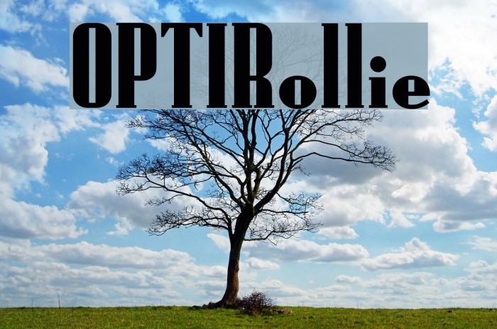OPTIRollie Font examples