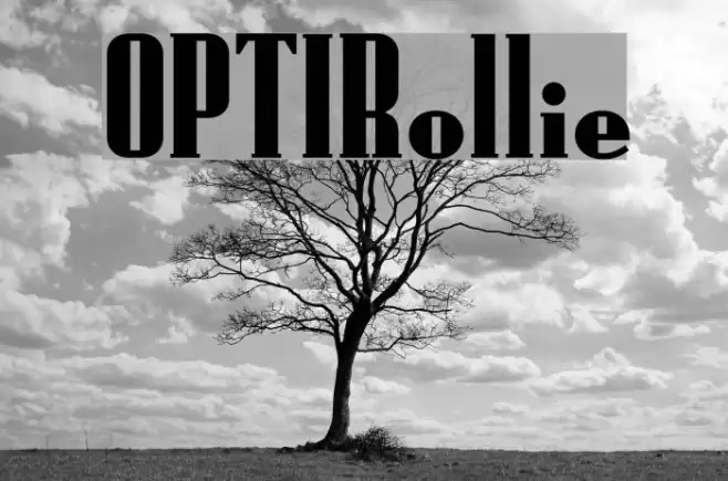 OPTIRollie Font examples