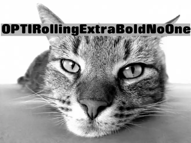 OPTIRollingExtraBoldNoOne Font examples