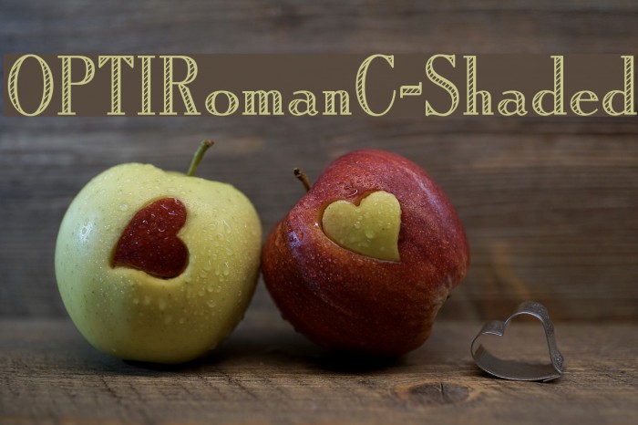 OPTIRomanC-Shaded Example 1