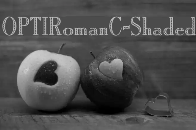 OPTIRomanC-Shaded Font examples