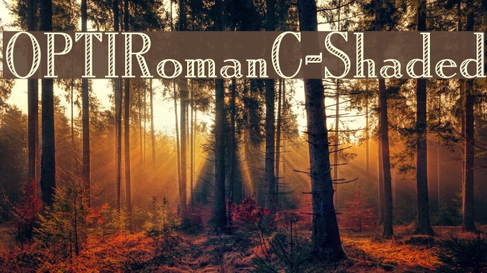 OPTIRomanC-Shaded Example 2