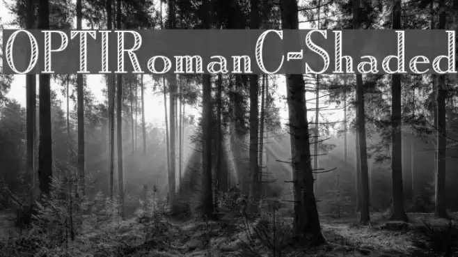 OPTIRomanC-Shaded Font examples