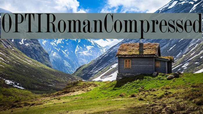 OPTIRomanCompressed Font examples