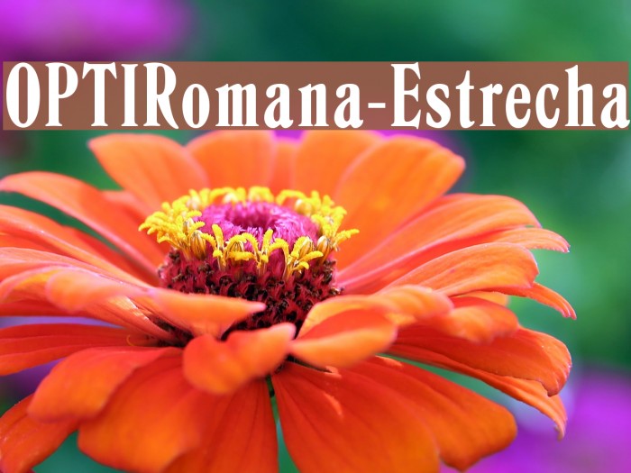 OPTIRomana-Estrecha Font examples