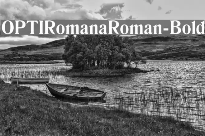 OPTIRomanaRoman-Bold Font examples