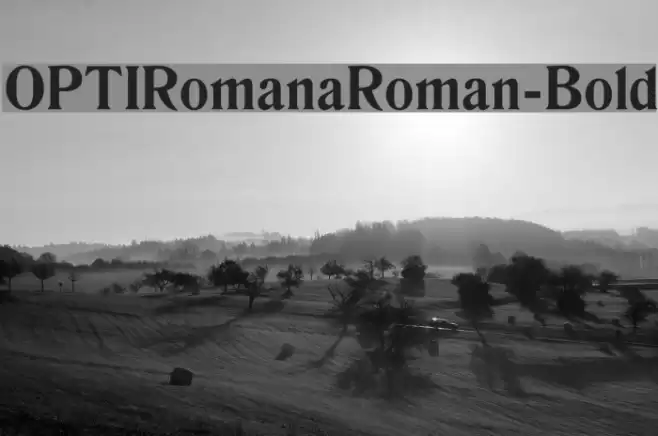 OPTIRomanaRoman-Bold Font examples